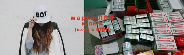 стаф Белокуриха