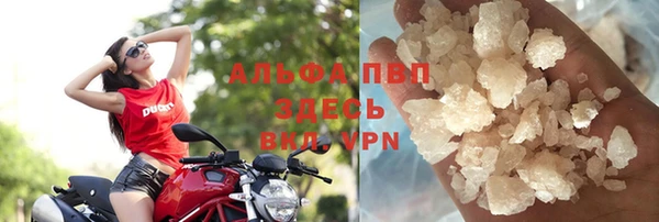 стаф Белокуриха