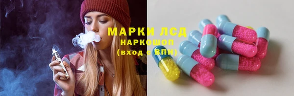 стаф Белокуриха