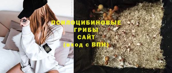 spice Беломорск