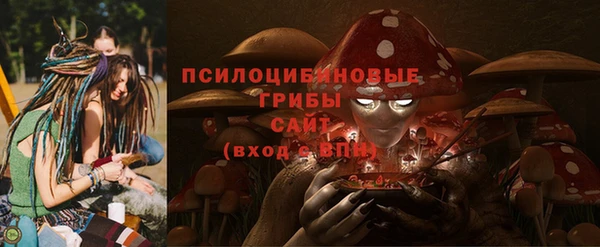 spice Беломорск
