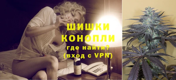 стаф Белокуриха