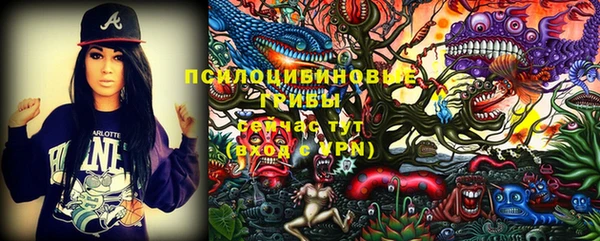 стаф Белокуриха